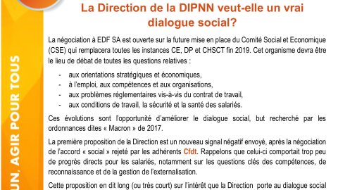 CSE : EDF-SA - DIPNN Quel dialogue social demain ?