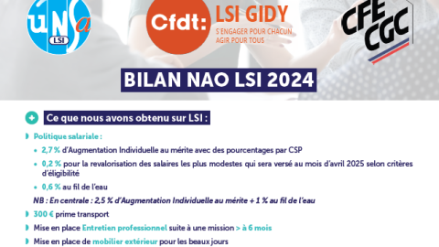 Bilan NAO LSI 2024