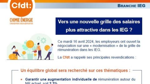 Vers une nouvelle grille des salaires plus attractive dans les IEG ?