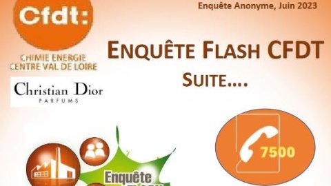 Enquête Flash CFDT suite...