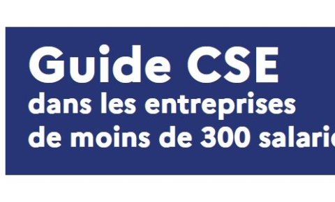 CSE : Guide moins de 300 salariés DIRECCTE Centre Val de Loire