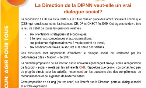CSE : EDF-SA - DIPNN Quel dialogue social demain ?