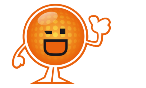 la CFDT de SCA à Arrabloy soutient les salariés de SCA à St Cyr en Val