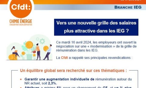 Vers une nouvelle grille des salaires plus attractive dans les IEG ?