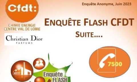 Enquête Flash CFDT suite...