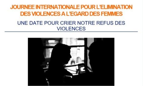Journée Internationale pour l'élimination de la violence à l'égard (...)