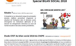 CNEPE Tours : compte rendu de CE spécial bilan social
