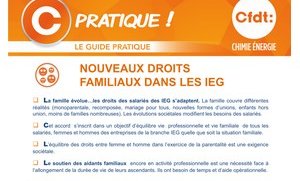 Guide des nouveaux droits familiaux