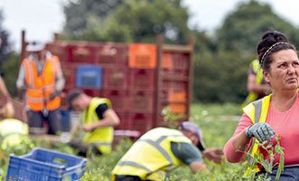 Travailleurs détachés : dumping social à tous les étages